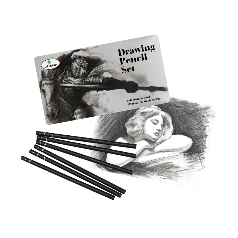Professional Drawing Sketch Pencil Set